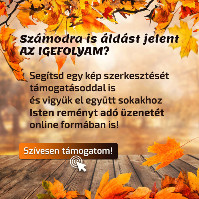 SZÍVESEN SEGÍTEK!