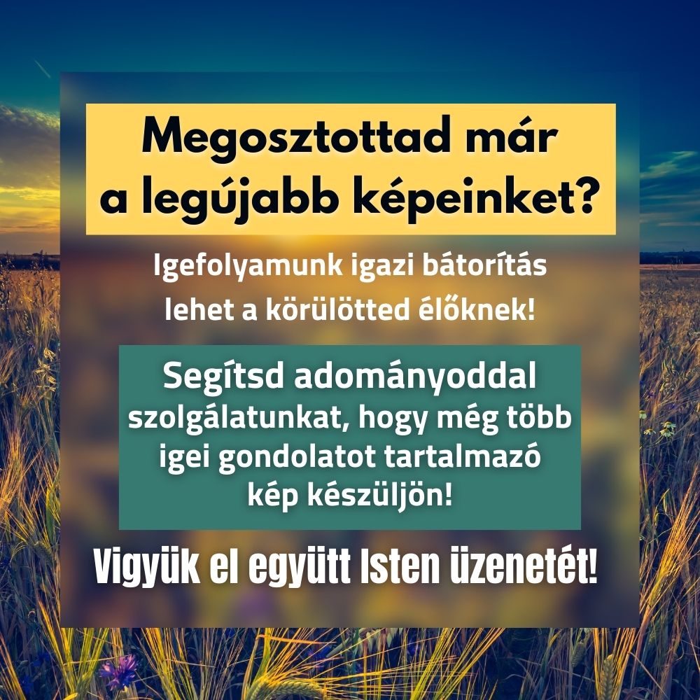SZÍVESEN SEGÍTEK!