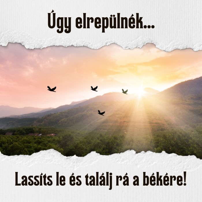 Sorozat képe