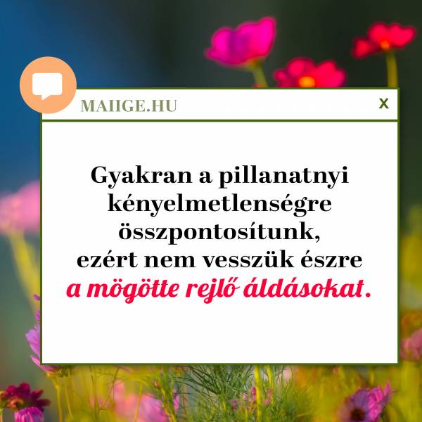 Gyakran a pillanatnyi kényelmetlenségre összpontosítunk, ezért nem vesszük észre a mögötte rejlő áldásokat.