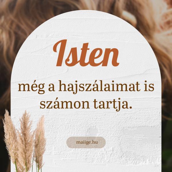 Isten még a hajszálaimat is számon tartja.