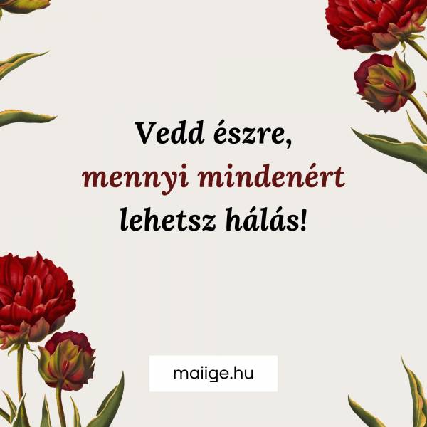 Vedd észre, mennyi mindenért lehetsz ma hálás!