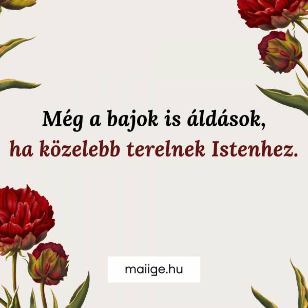 Még a bajok is áldások, ha közelebb terelnek Istenhez.