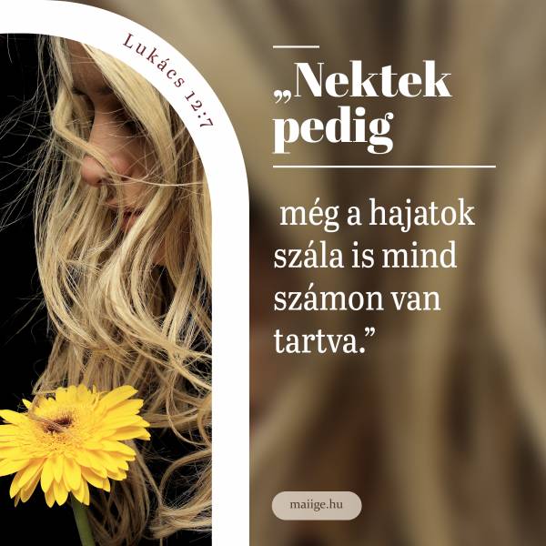 „Nektek pedig még a hajatok szála is mind számon van tartva.” (Lukács 12:7)