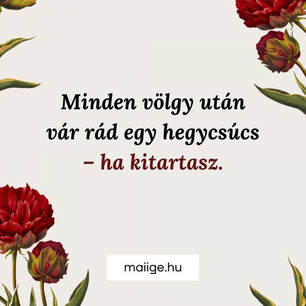 Minden völgy után vár rád egy hegycsúcs. Ha kitartasz…