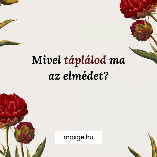Mivel táplálod ma az elmédet?