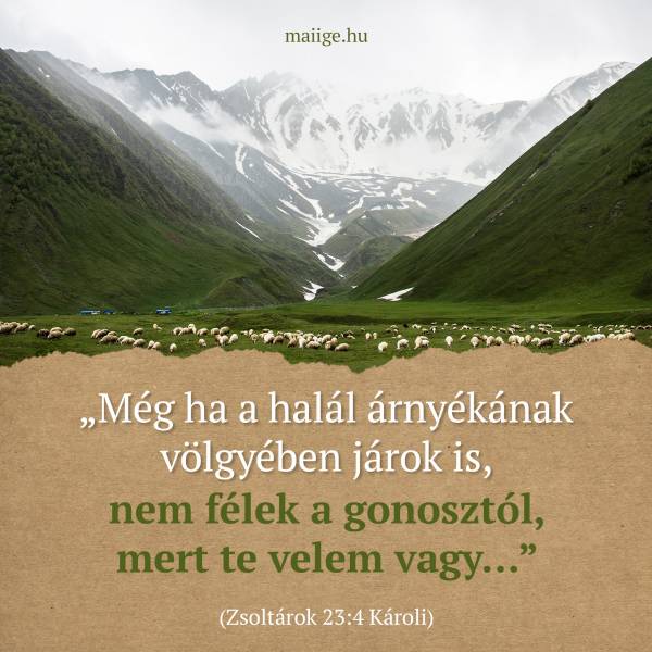 „Még ha a halál árnyékának völgyében járok is, nem félek a gonosztól, mert te velem vagy…” (Zsoltárok 23:4 Károli)