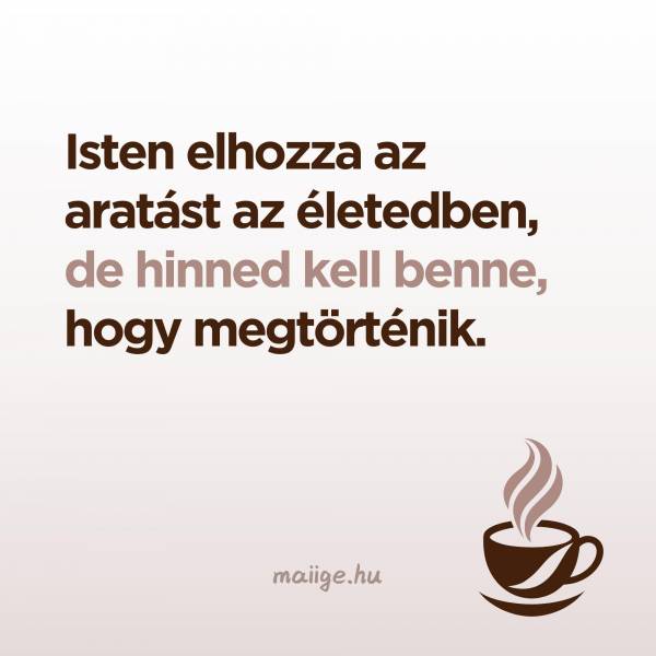 Isten elhozza az aratást az életedben, de hinned kell benne, hogy megtörténik.