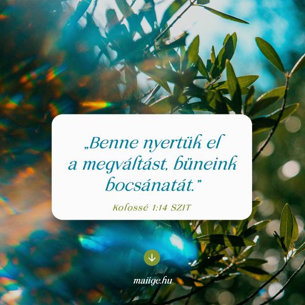 „Benne nyertük el a megváltást, bűneink bocsánatát.” (Kolossé 1:14 SZIT)
