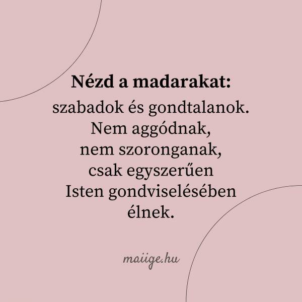 Nézd a madarakat: szabadok és gondtalanok. Nem aggódnak, nem szoronganak, csak egyszerűen  Isten gondviselésében élnek. 