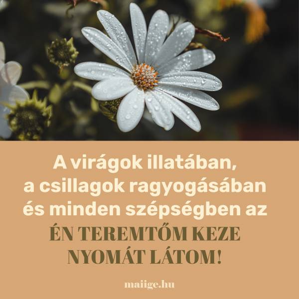 A virágok illatában, a csillagok ragyogásában és minden szépségben az én Teremtőm keze nyomát látom!