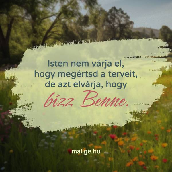 Isten nem várja el, hogy megértsd a terveit, de azt elvárja, hogy bízz Benne.