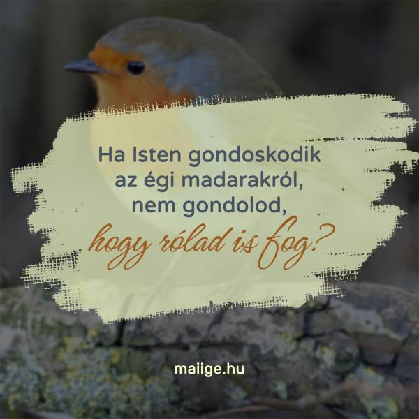 Ha Isten gondoskodik az égi madarakról, nem gondolod, hogy rólad is fog?