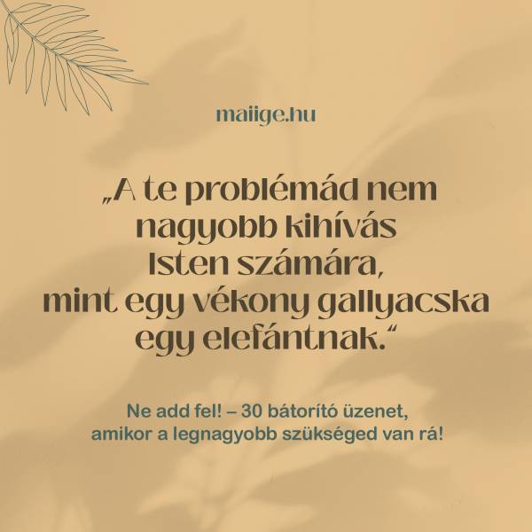 „A te problémád nem nagyobb kihívás Isten számára, mint egy vékony gallyacska egy elefántnak.”