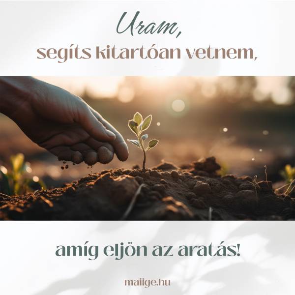 Uram, segíts kitartóan vetnem, amíg eljön az aratás!