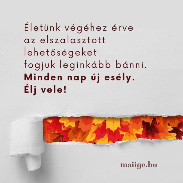 Életünk végéhez érve az elszalasztott lehetőségeket fogjuk leginkább bánni. Minden nap új esély. Élj vele!