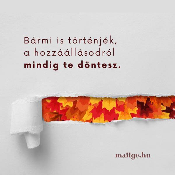 Bármi is történjék, a hozzáállásodról mindig te döntesz.