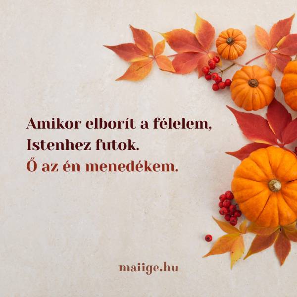 Amikor elborít a félelem, Istenhez futok. Ő az én menedékem. 