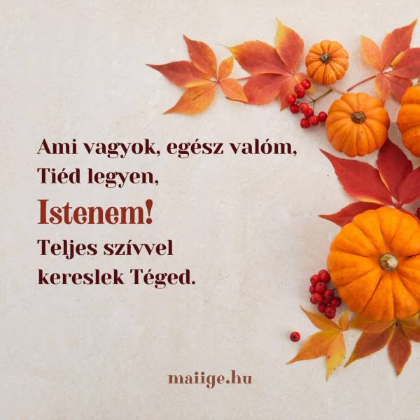 Ami vagyok, egész valóm, Tiéd legyen, Istenem! Teljes szívvel kereslek Téged.