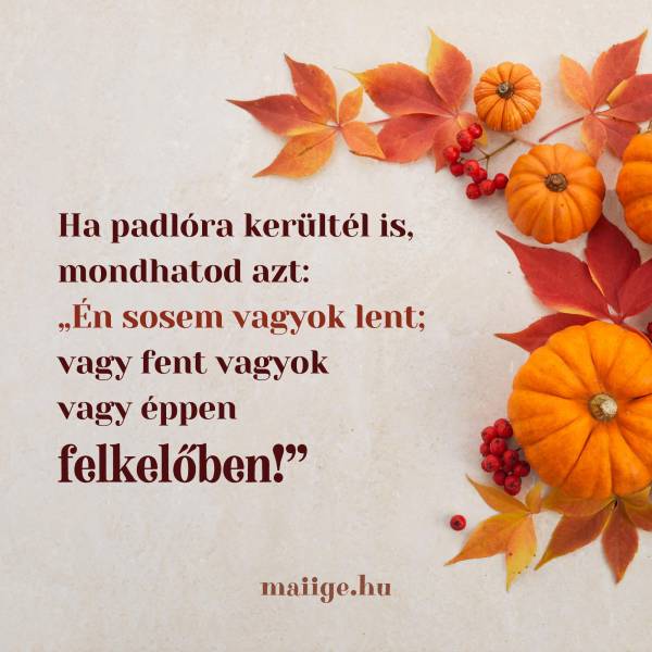 Ha padlóra kerültél is, mondhatod azt: „Én sosem vagyok lent; vagy fent vagyok vagy éppen felkelőben!”