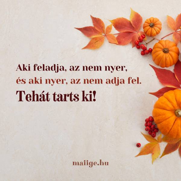 Aki feladja, az nem nyer, és aki nyer, az nem adja fel. Tehát tarts ki!