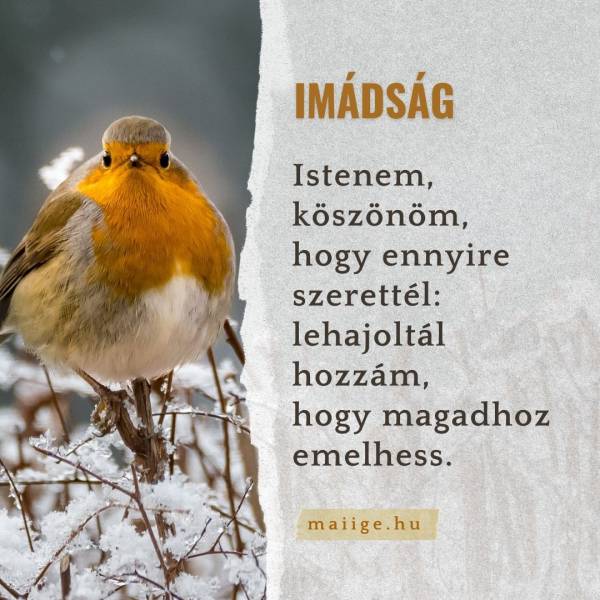 Istenem, köszönöm, hogy ennyire szerettél: lehajoltál hozzám, hogy magadhoz emelhess.