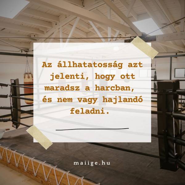 Az állhatatosság azt jelenti, hogy ott maradsz a harcban, és nem vagy hajlandó feladni. 