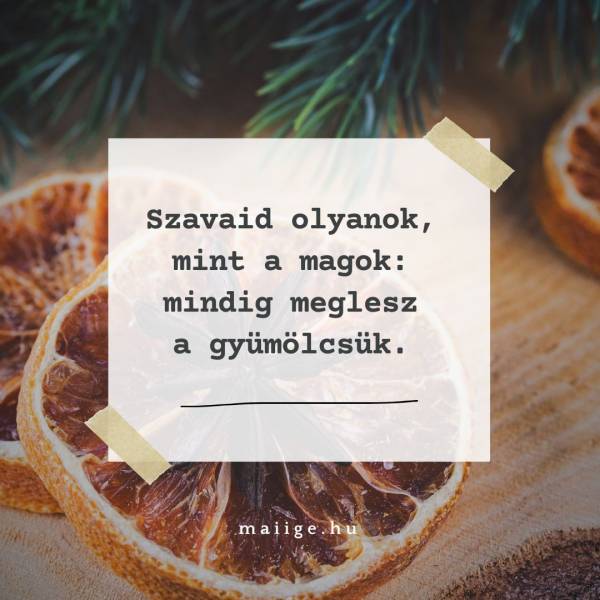 Szavaid olyanok, mint a magok: mindig meglesz a gyümölcsük.