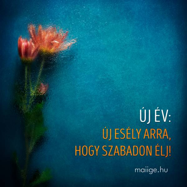 Új év: új esély arra, hogy szabadon élj!