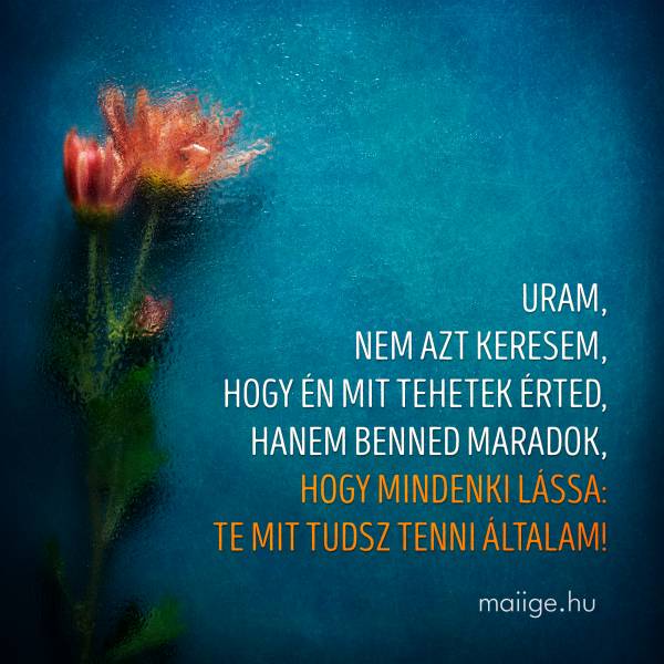 Uram, nem azt keresem, hogy én mit tehetek érted, hanem BENNED MARADOK, hogy mindenki lássa: Te mit tudsz tenni általam!