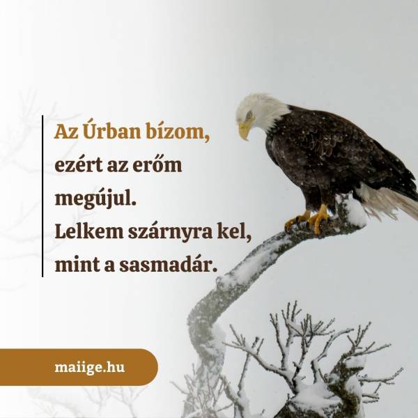 Az Úrban bízom, ezért az erőm megújul. Lelkem szárnyra kel, mint a sasmadár.