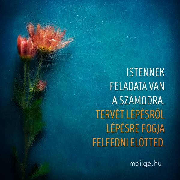 Istennek feladata van a számodra. Tervét lépésről lépésre fogja felfedni előtted.