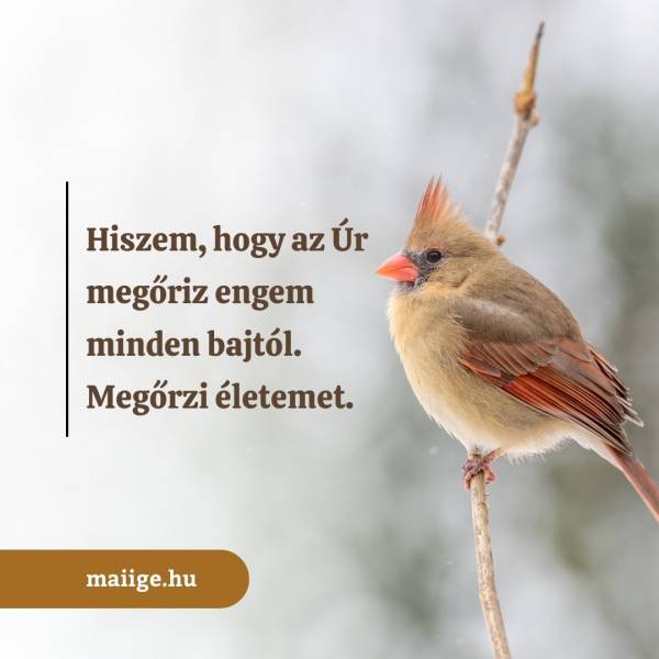 Hiszem, hogy az Úr megőriz engem minden bajtól. Megőrzi életemet. 