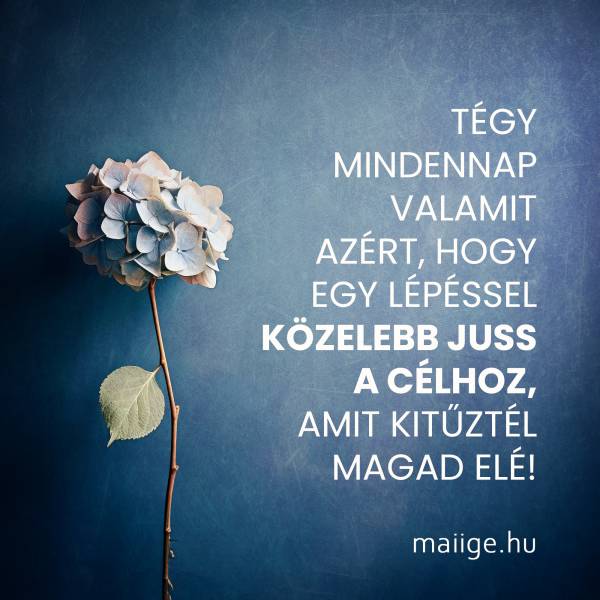 Tégy mindennap valamit azért, hogy egy lépéssel közelebb juss a célhoz, amit kitűztél magad elé! 