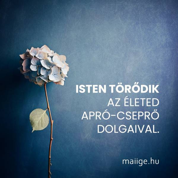 Isten törődik az életed apró-cseprő dolgaival.