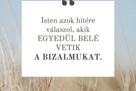 Igefolyam #8448