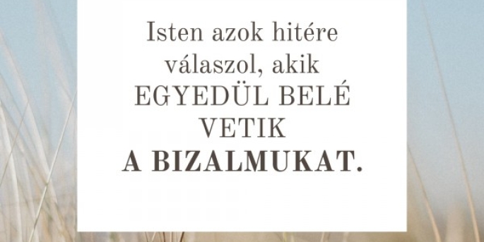 Igefolyam #8448