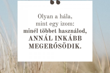 Igefolyam #8453