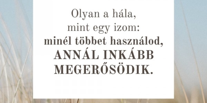 Igefolyam #8453