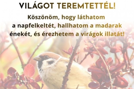 Igefolyam #8454