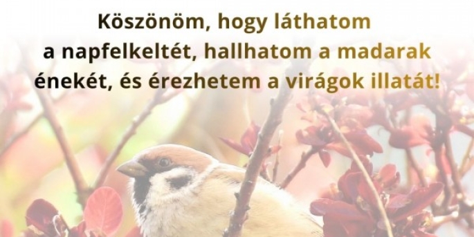 Igefolyam #8454