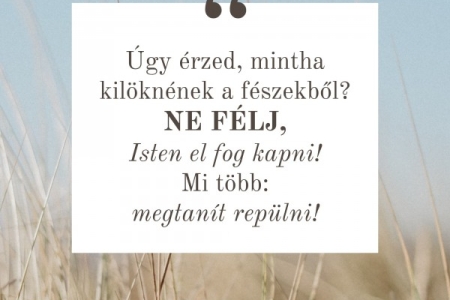 Igefolyam #8456
