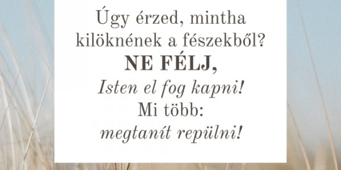 Igefolyam #8456