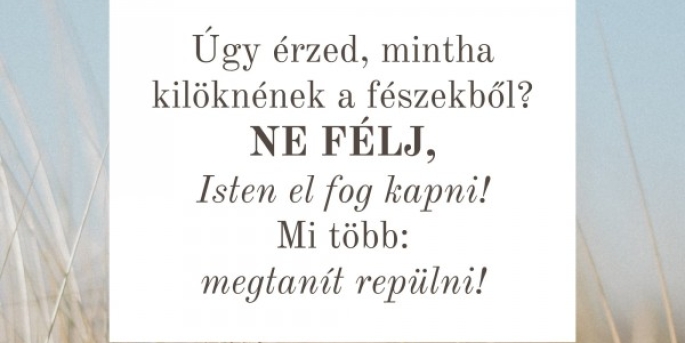 Igefolyam #8456