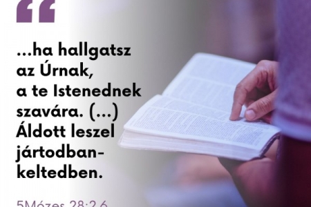 Igefolyam #8455