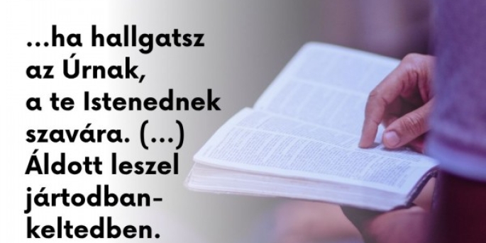 Igefolyam #8455