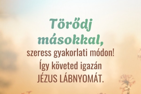 Igefolyam #8473