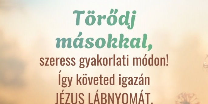 Igefolyam #8473