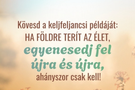 Igefolyam #8479