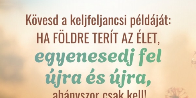 Igefolyam #8479